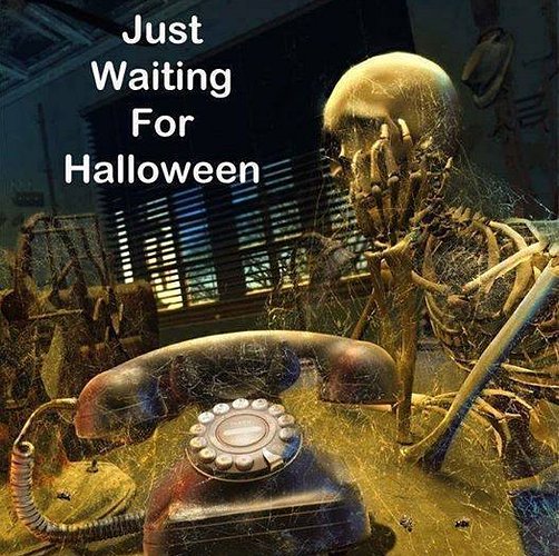 10570304_10152270049792951_1541952235666275692_n